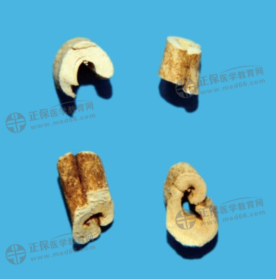白鮮皮 白鮮皮